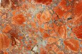Free-Standing, Polished Brecciated Snakeskin Jasper - Australia #280167-2